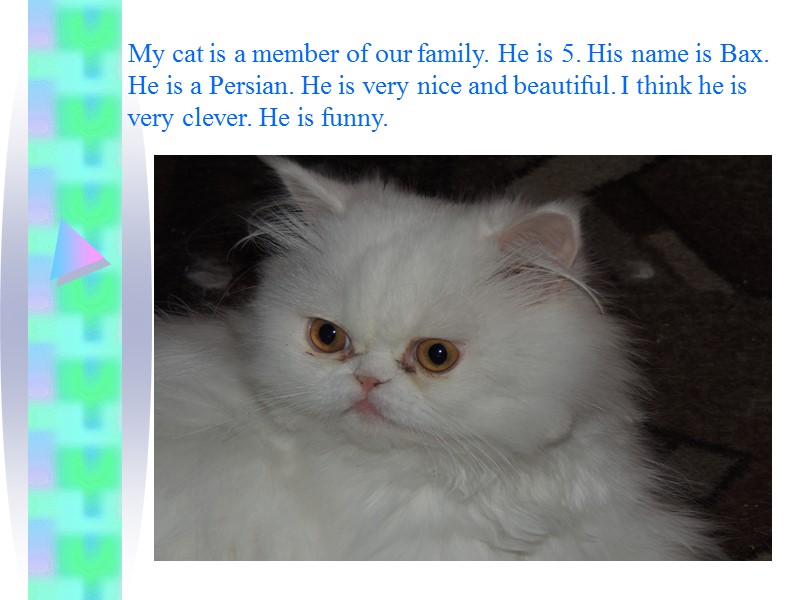 My cat is a member of our family. He is 5. His name is